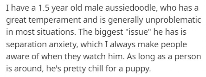 OP described his dog as a generally unproblematic dog who suffers from separation anxiety.
