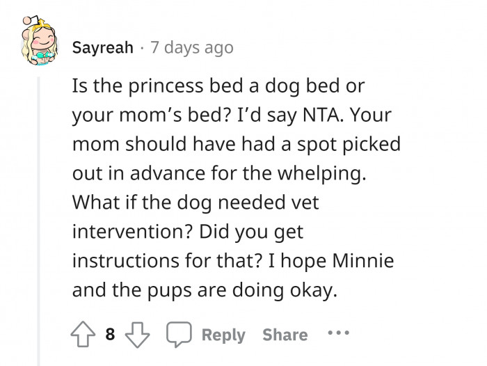 #19 Seeking veterinarian intervention.