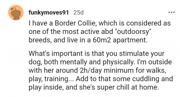 It's important that you stimulate your dog