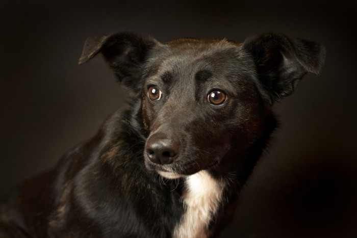 Maggie Epling Wanted to Help a Charity During Her Summer Break