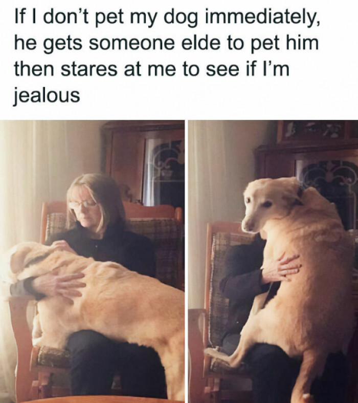 22. Doggo having a secret agenda.