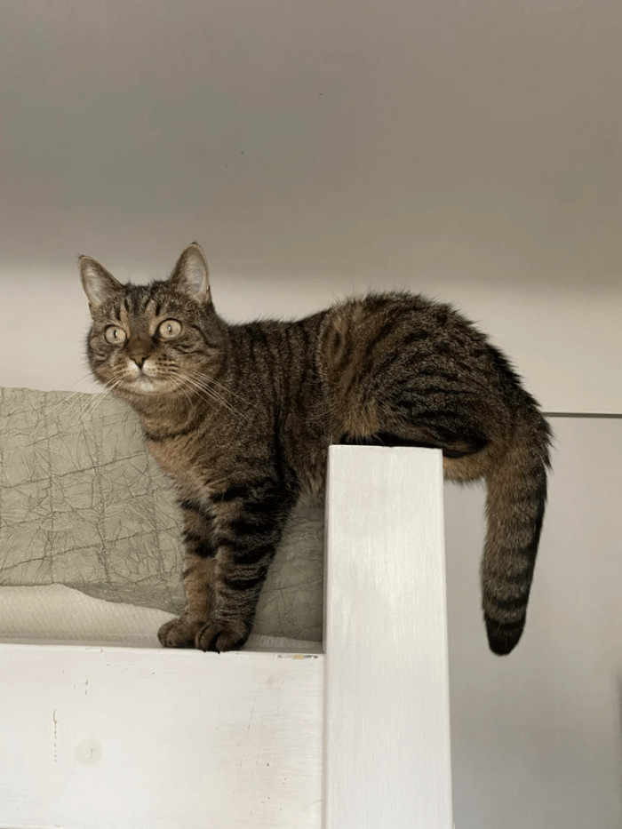 15. "Today we are 9 years old but still doing weird shenanigans"