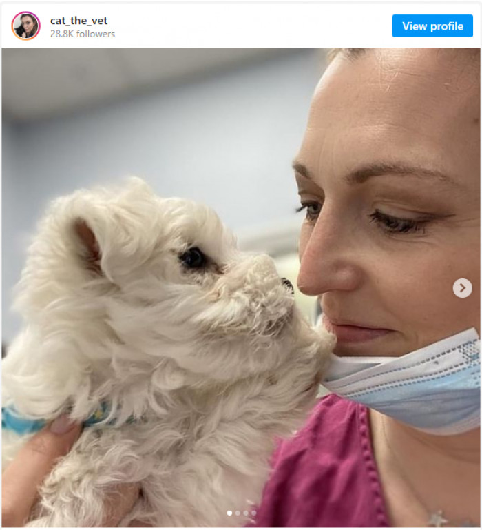 These videos should raise awareness: