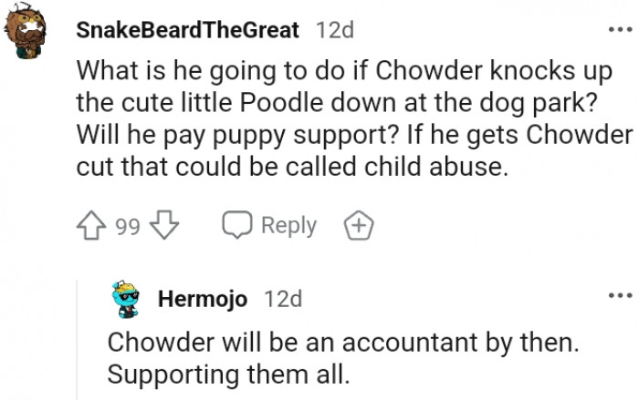 9. Chowder is doing to be an accountant