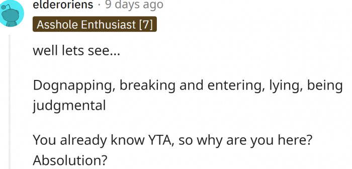 Dognapping, breaking and entering, lying, being judgmental...