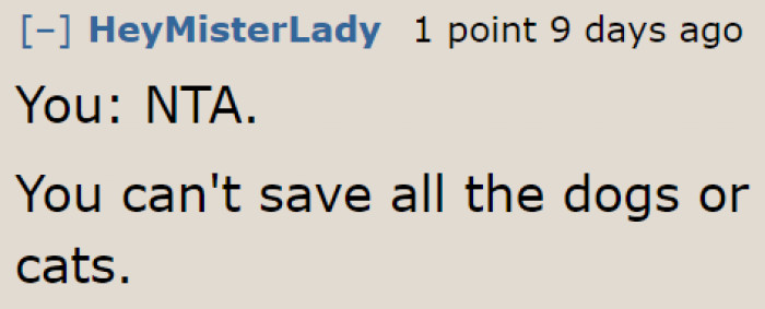 This is so true. There are many humans out there who'll be willing to take care of this dog well.