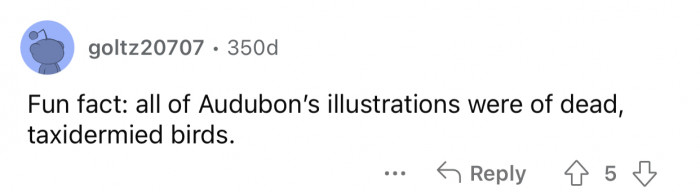 The illustrations might look alive, but the birds definitely weren't.