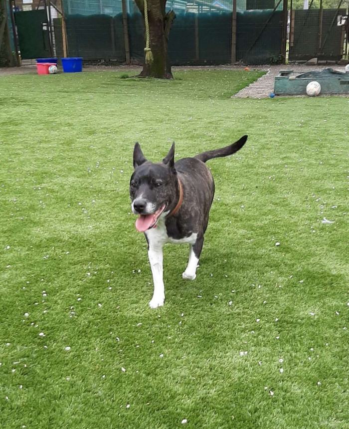 And she needs a new home