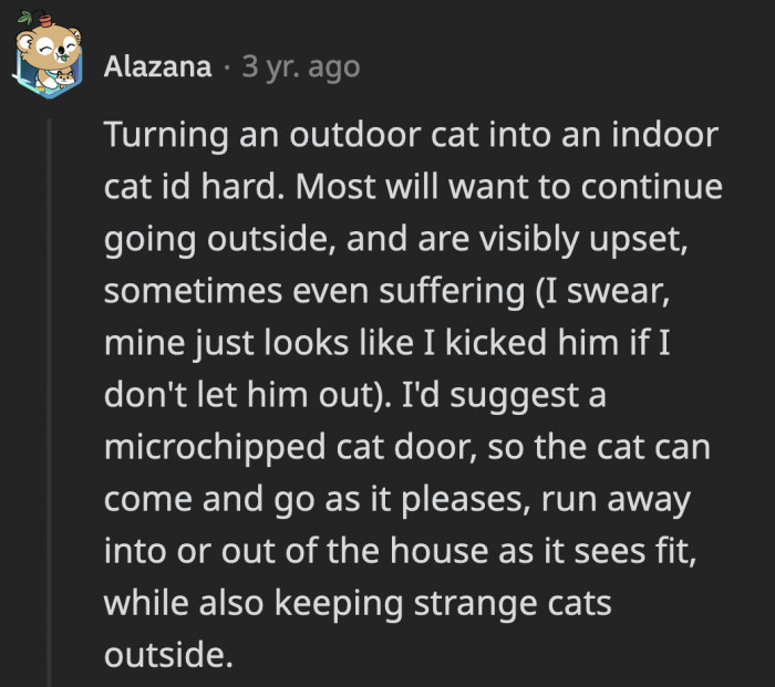 Although it might be better to fully domesticate the cat, there’s another solution if that isn’t possible