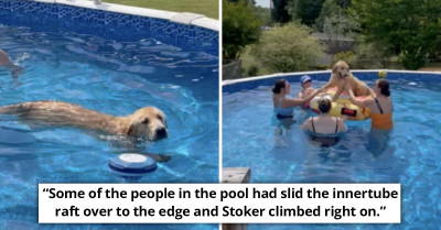 These Folks Were Having A Pool Party And Were Pawsitively Delighted To See These Friendly Dogs Come Crash It