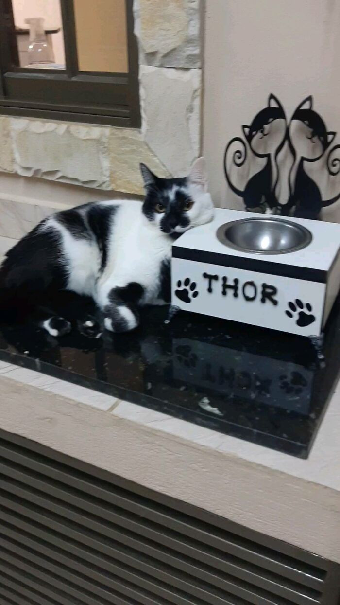 Thor beside his bowl