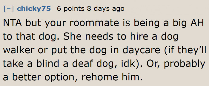 Maybe rehoming the dog is the best option.