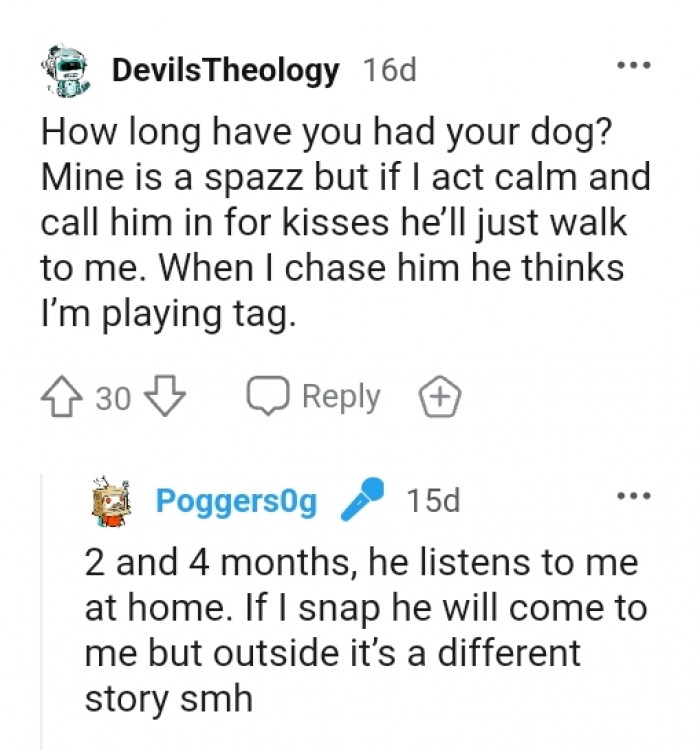 When I chase him, he thinks I'm playing tags