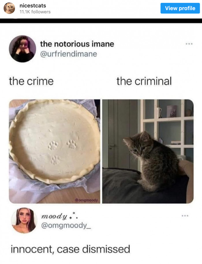 5. You'll never call the police over this crime. But maybe the little one just wants to have its own cake.