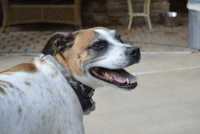 Look at him 9 years down the line