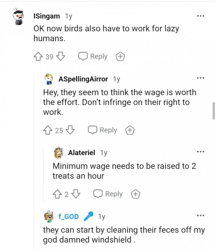 Birds also have to work for lazy humans