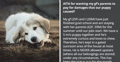 Man Wants His GF’s Parents To Pay For The Damages His Own Puppy Caused
