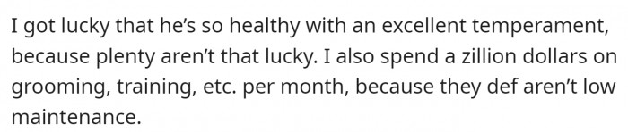 One person owns a Goldendoodle; it looks exactly like a Poodle but has much higher grooming costs.