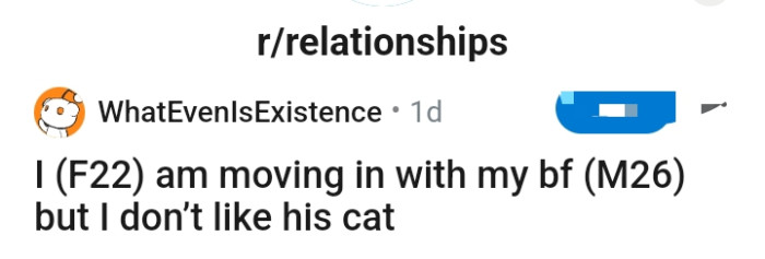 This Redditor is in a cat dilemma and needs some serious advice