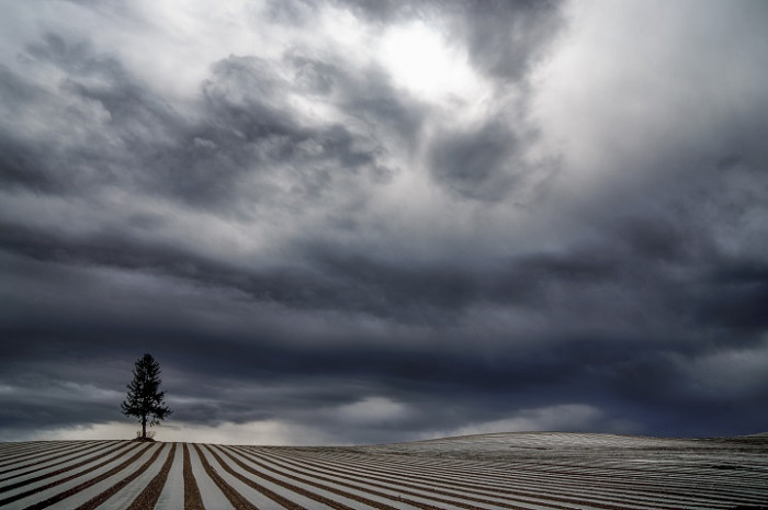 This feels so surreal