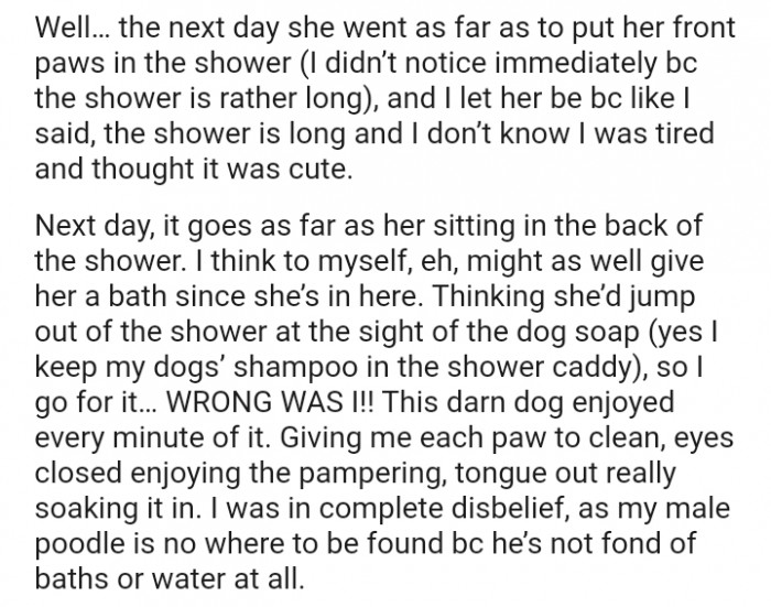 She Put Her Front Paws in the Shower