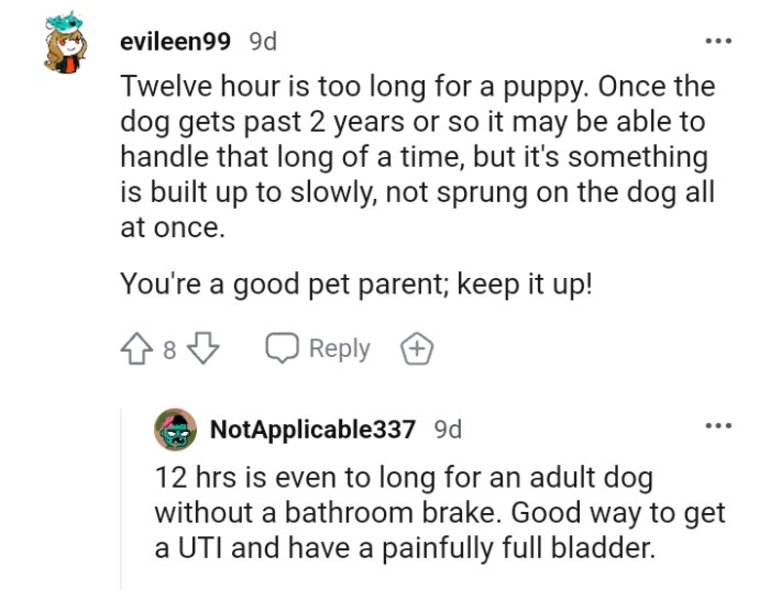 You are a good pet parent