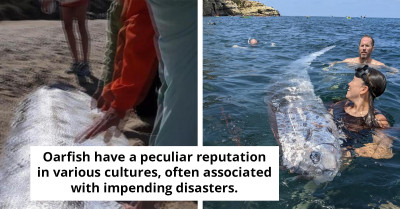 Exceptionally Rare "Doomsday Fish" Discovered Off Southern California Coast