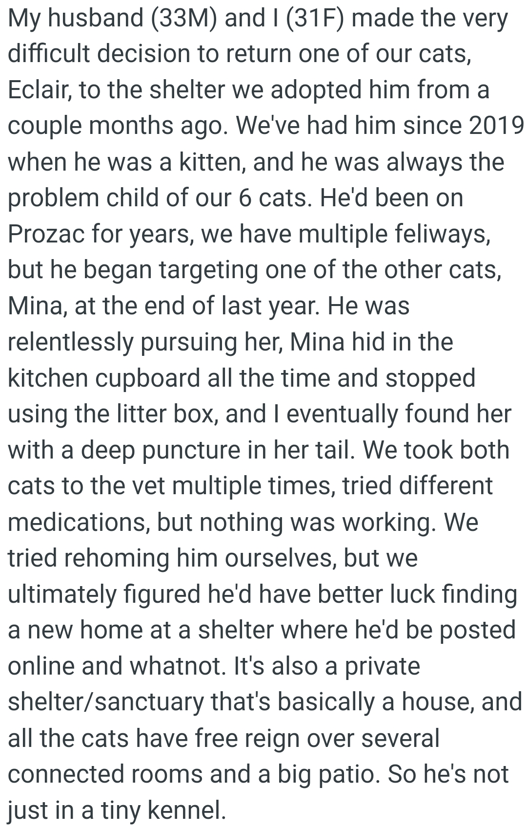 Mina hid in the kitchen cupboard all the time and stopped using the litter box