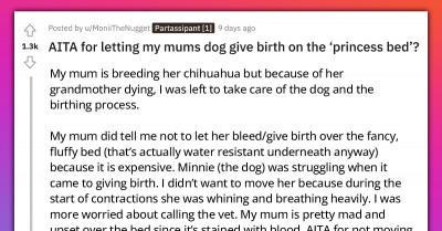 This Redditor's Mom Gets Furious When She Finds Out Her Dog Gave Birth On Her Fancy And Pricey Bed