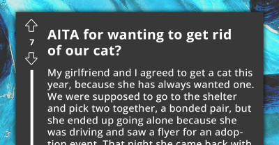 Man Frustrated With Girlfriend's Adoption Of Badly Behaved, High-Needs Cat, Thinks About Returning It Against Her Wishes