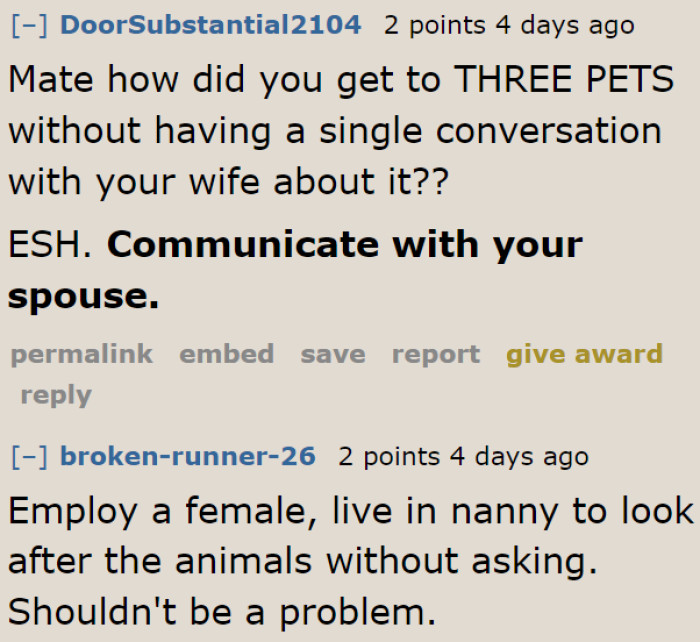 Hiring Someone to Care for the Pets Is a Good Option.