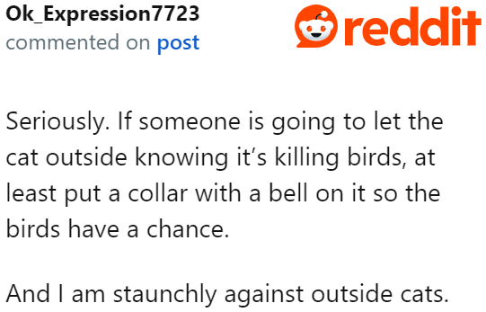 A user makes an excellent suggestion for pet owners with outdoor cats.