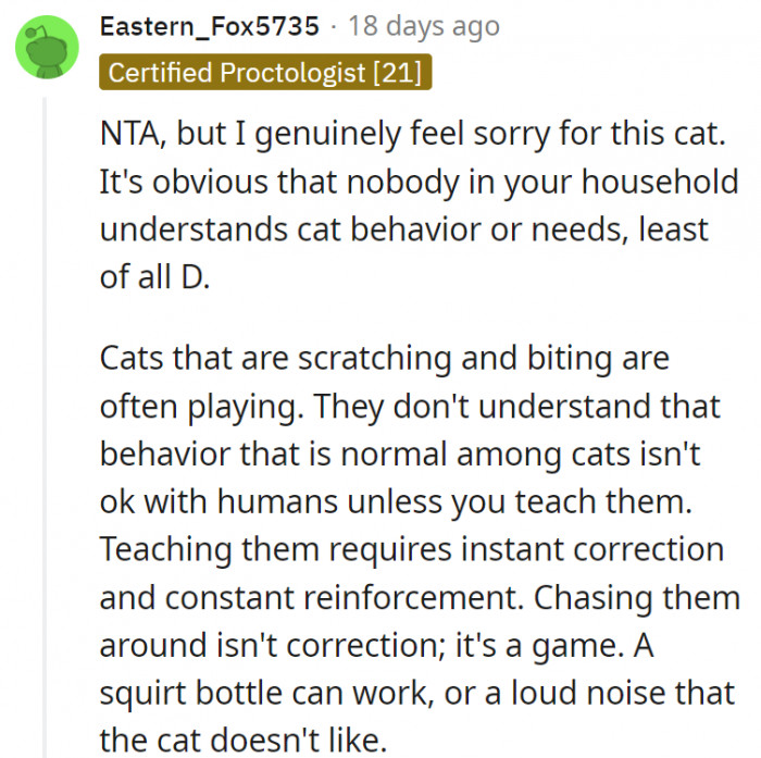 13. Nobody in that household has the experience or know-how of taking care of a cat