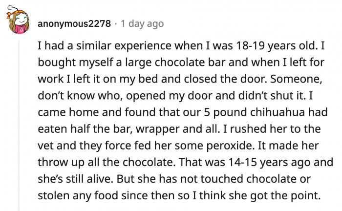 The first aid the chihuahua received was traumatic enough for it not to repeat the experience