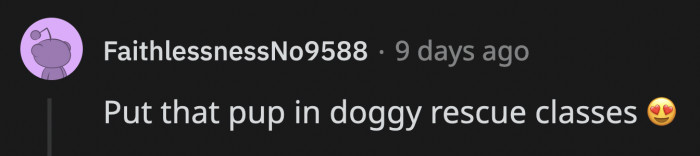 Could the sniffing abilities of OP's dog be put to life-saving use?