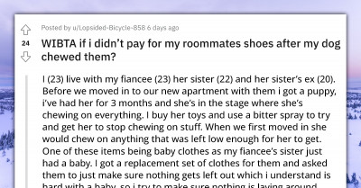 Man Gets Bashed Online For Not Wanting To Pay For Roommate’s Shoes Which His Dog Chewed