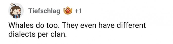 Whales even have different dialects