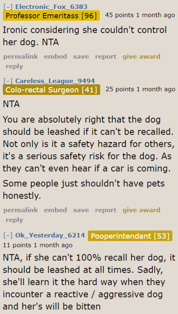 An unleashed dog is unsafe not just for itself, but also for the animals and people in its surroundings.