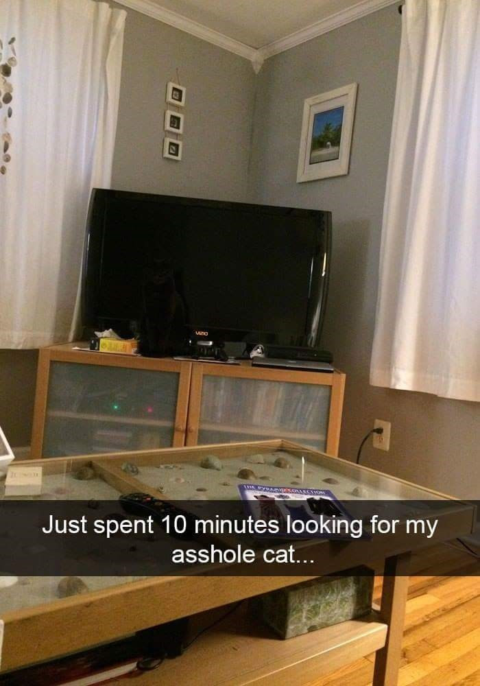 11. Find me if you can...