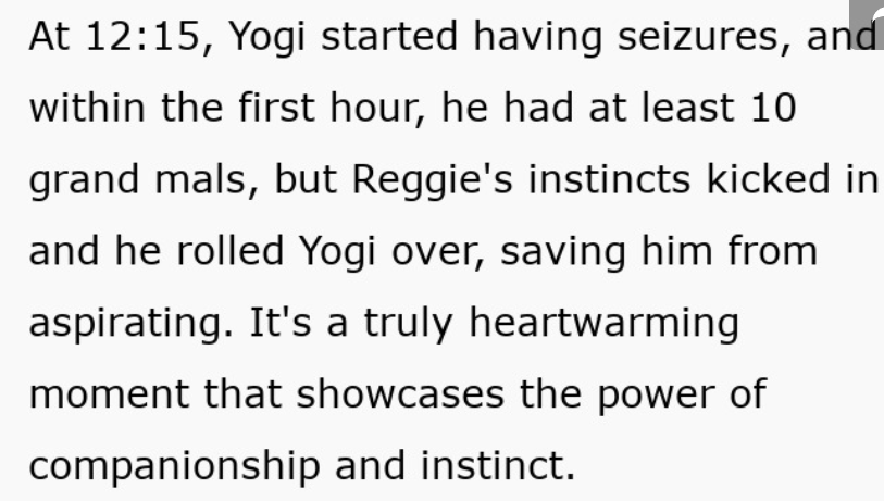 Alone in the house, Reggie stayed calm and did exactly what his brother needed to survive.