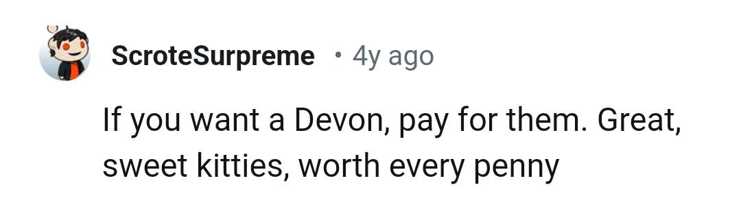 5. They are worth every penny