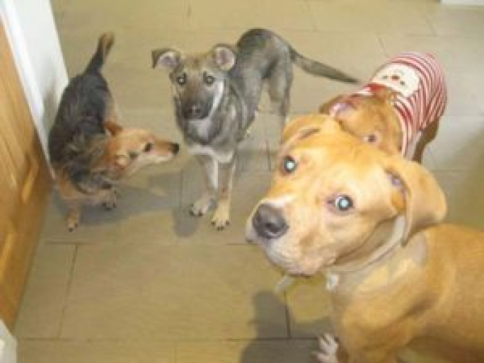 According to Kerry, Kayne has been subsequently placed in a foster home in the United Kingdom, where he has been able to find a new family.