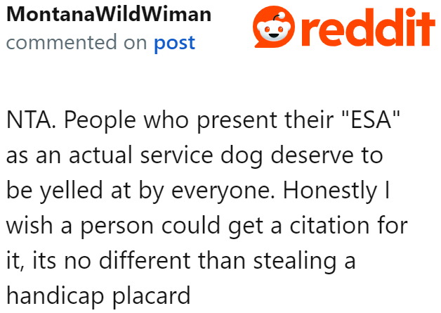 Redditors believe that this owner had to be yelled at and told off.