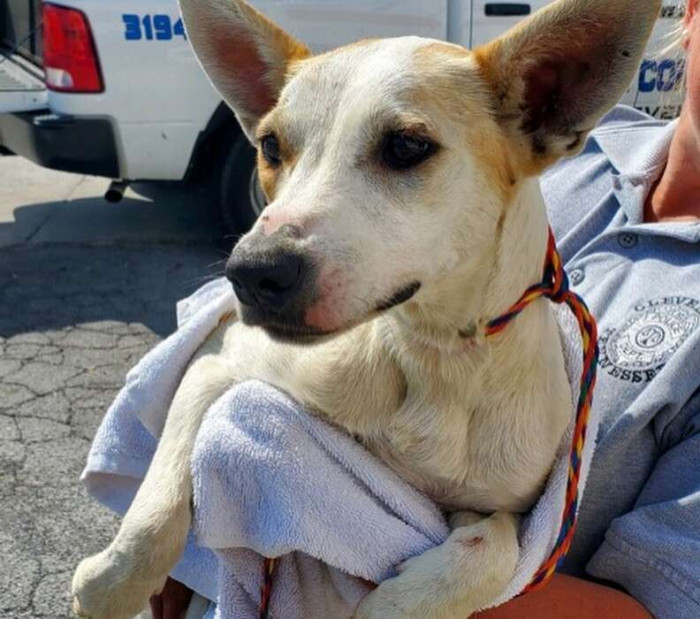 And those doe eyes — the difference was night and day.