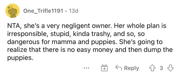 "She's a very negligent owner."