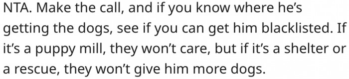 7. She should go further to have him blacklisted from wherever he's getting the dogs.