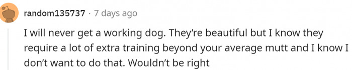 Working dogs in general