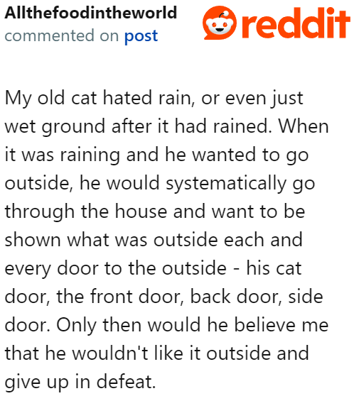 Some cats sure are demanding!