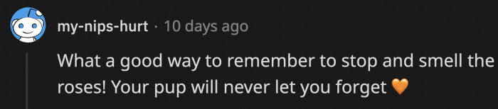 OP will always have a reminder to stop and smell the roses (or peonies) thanks to her amusing pup