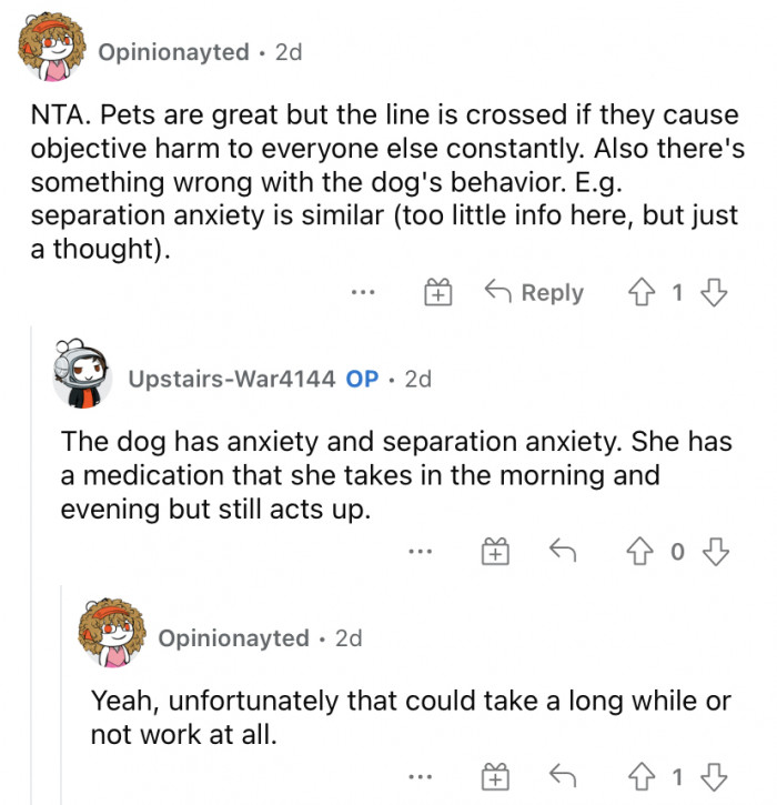 "There's something wrong with the dog's behavior."